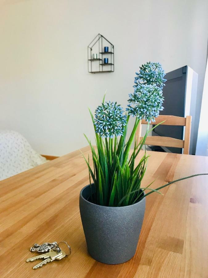 Apartment Mida Freiburg im Breisgau Dış mekan fotoğraf